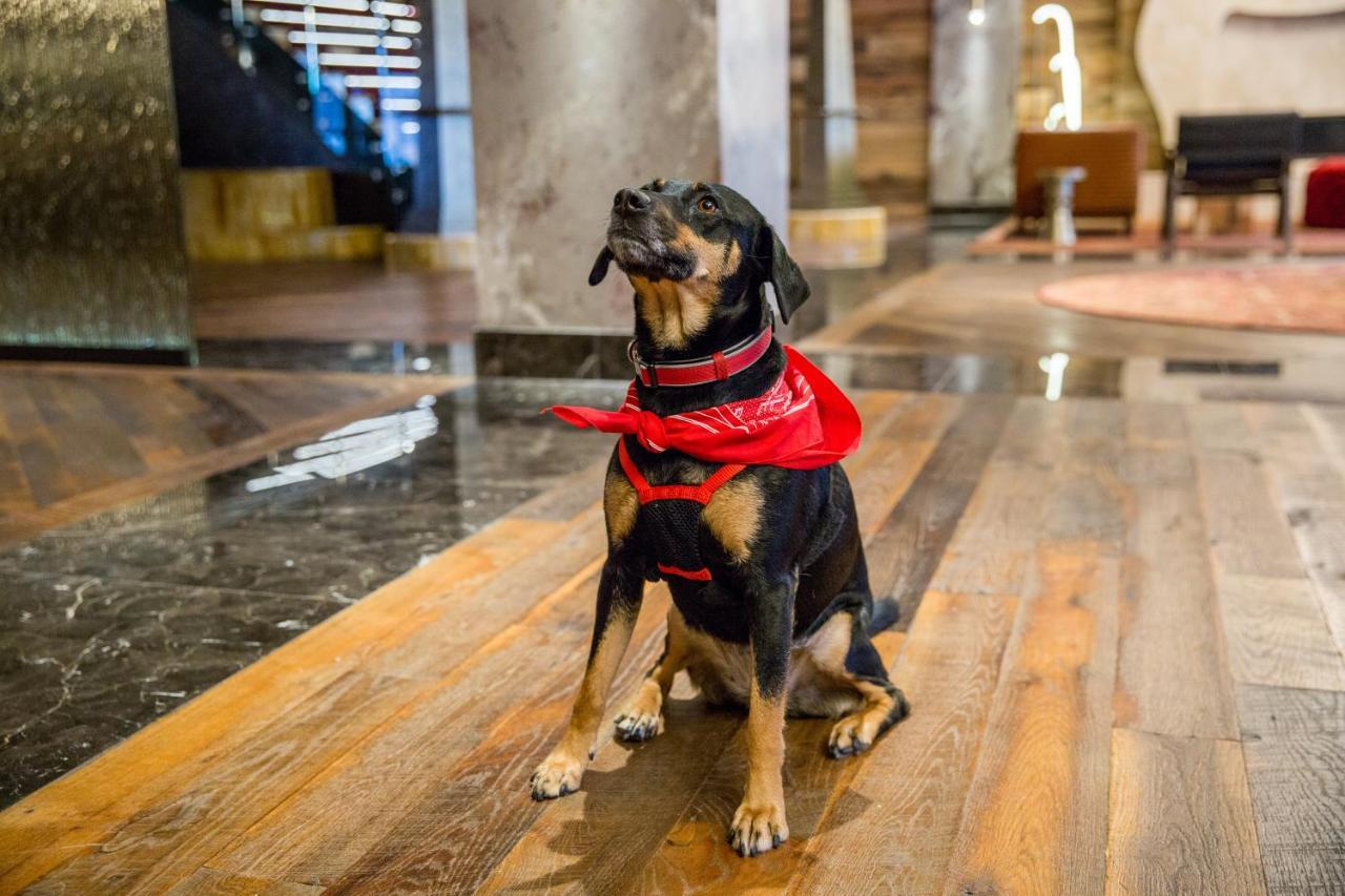 Bobby Hotel Nashville Eksteriør billede