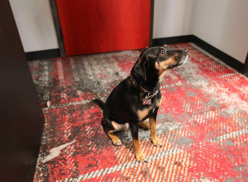 Bobby Hotel Nashville Eksteriør billede